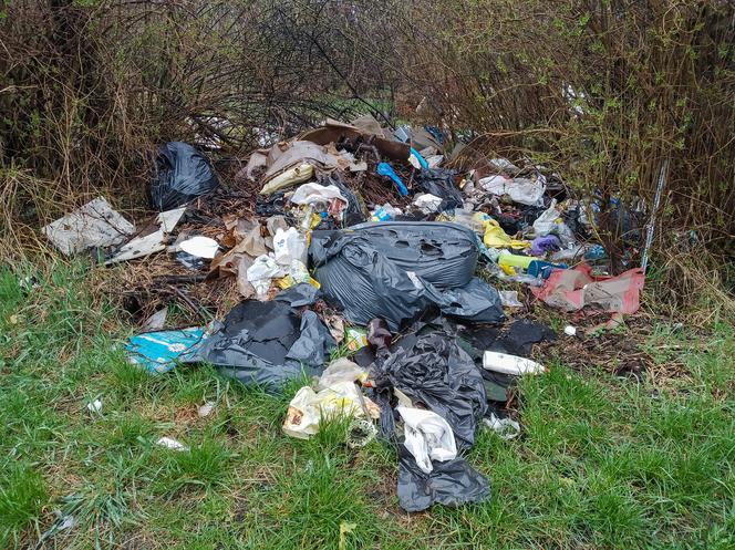 Wysypisko śmieci niedaleko Jeziorka Czerniakowskiego