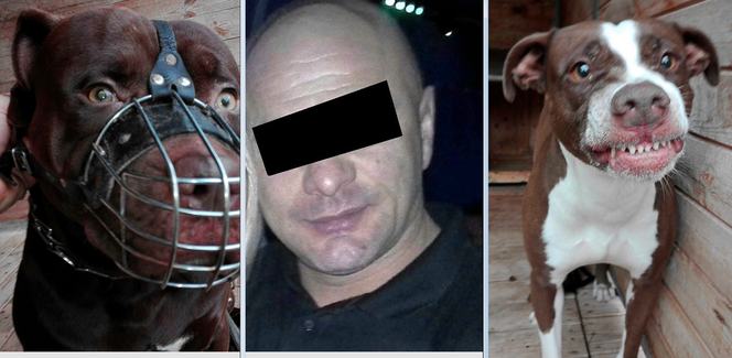właściciel bestii które zagryzły Kamilka wielokrotnie karany