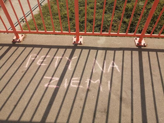 Akcja Pety na ziemi w Poznaniu