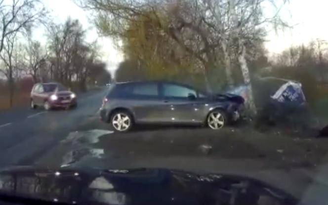 Seat Leon rozbił się na drzewie