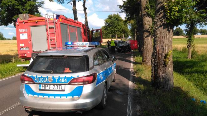 Popioły. Tragiczny wypadek, nie żyje 65-latek