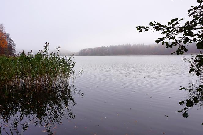 Jezioro Klasztorne Duże