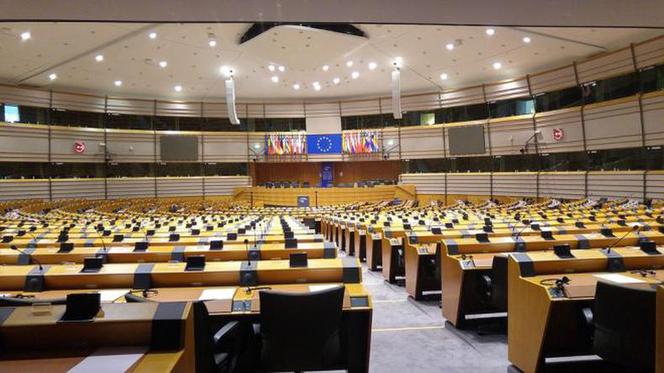 Wybory do Parlamentu Europejskiego 2019 - ważne informacje dla wyborców