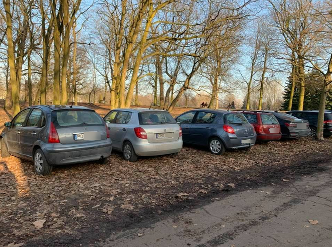 Nieprawidłowo zaparkowane auta na Cytadeli