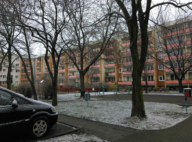 Atak zimy w Poznaniu! Taka pogoda w kwietniu to rzadkość