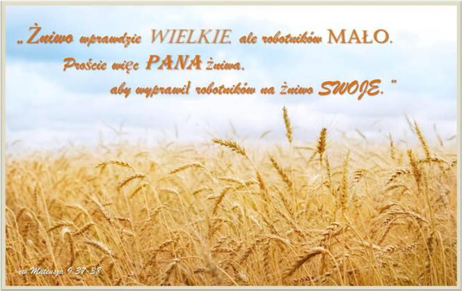 Modlitwa o powołania
