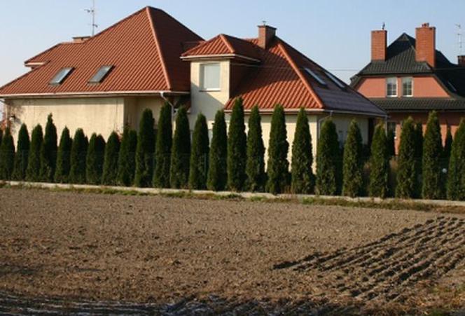 Jesienna kuracja ziemi