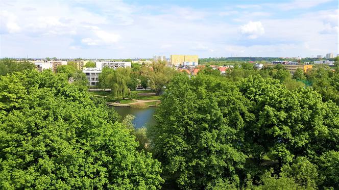 Weryfikacja projektów zgłoszonych do BBO 2021