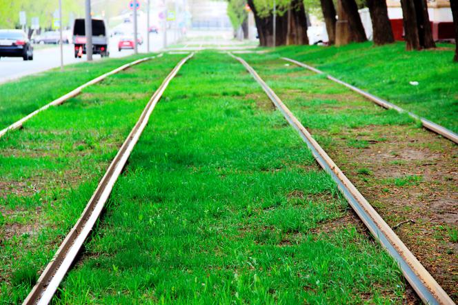 zielone tory tramwajowe