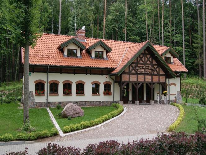 Leśne arboretum w nadleśnictwie Kudypy