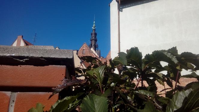 Elbląska Starówka