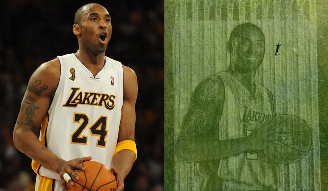 Kobe Bryant - portret na trawniku