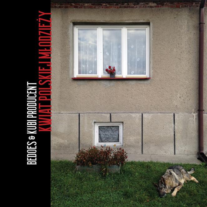kwiat polskiej młodzieży