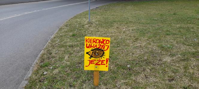 Znak ostrzegawczy w Mysłowicach