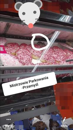 MYSZ
