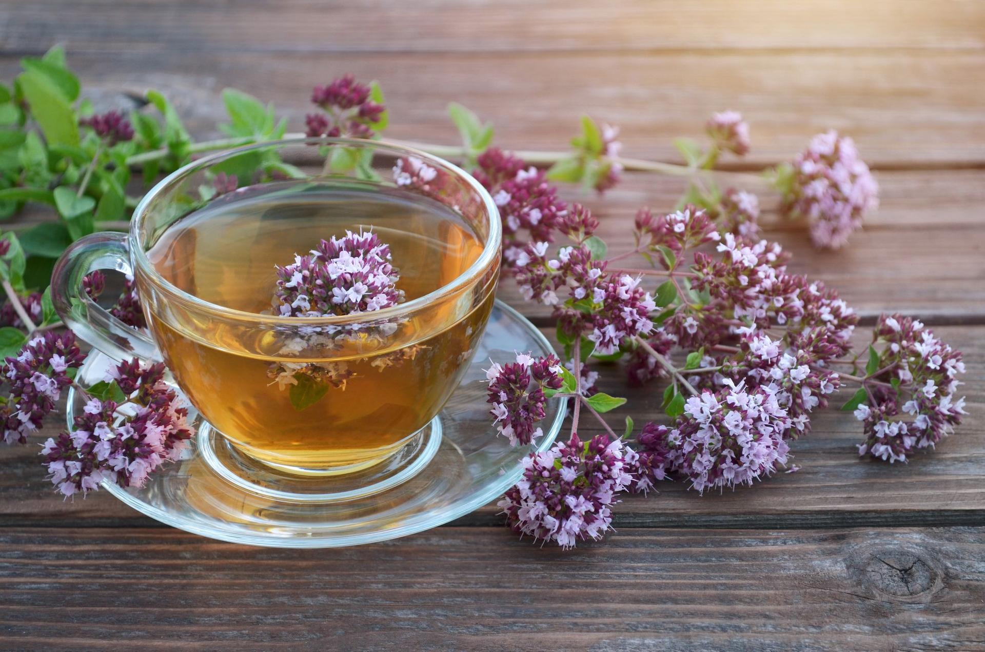 Herbata Z Oregano Na Co Pomaga Przepis Na Napar Z Oregano