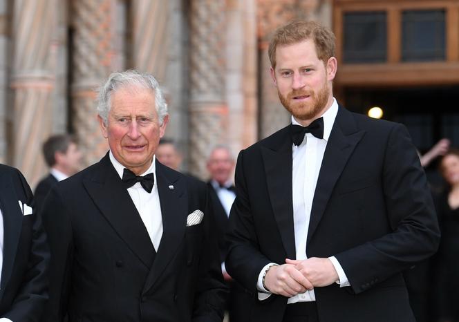 Książę Harry i książę Karol