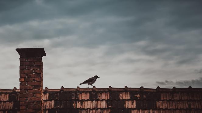 SMOG atakuje w Kujawsko-Pomorskiem. Jeżeli możesz, zostań w domu