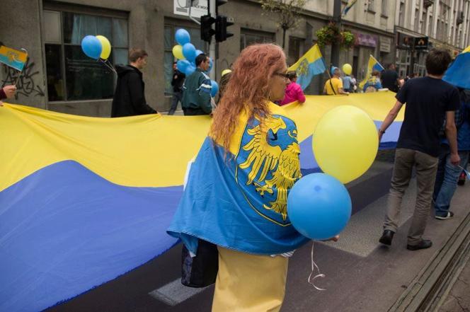 Język śląski podzieli Polaków? Zaskakująca opinia rządu