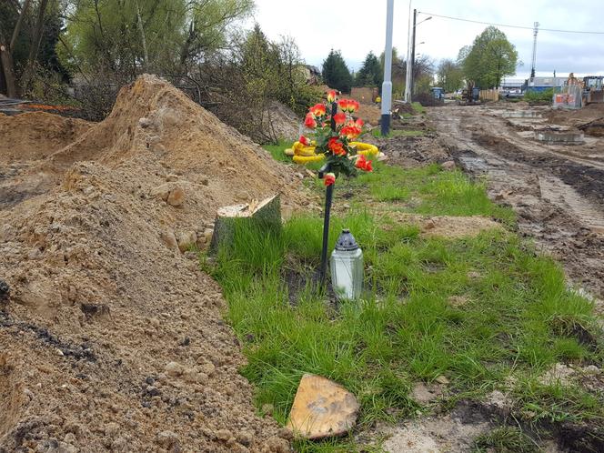 Już wycinają drzewa na ul. Fabrycznej. Potem... posadzą nowe