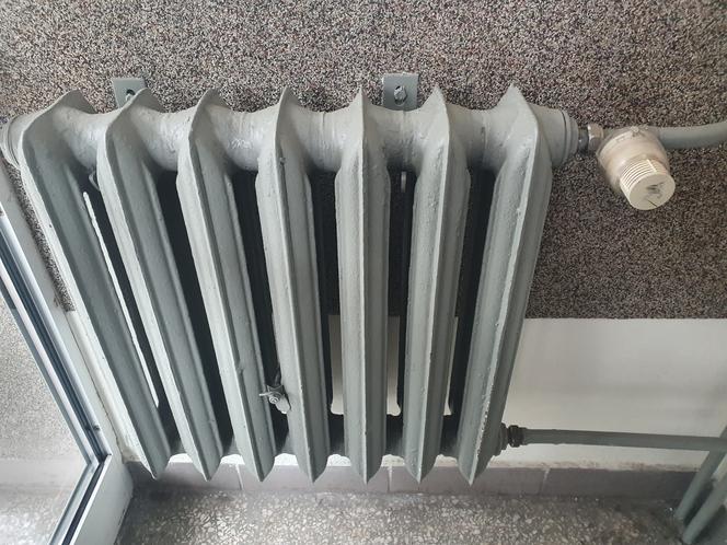 Kaloryfer w toruńskim bloku