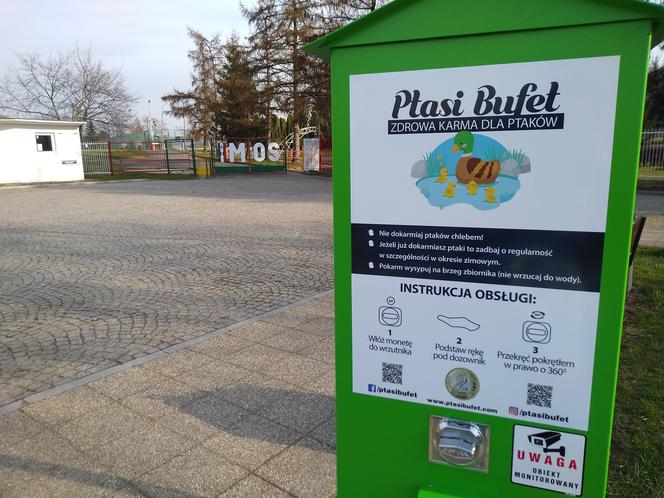 Pierwszy ptasi bufet w Braniewie. Zobacz, gdzie go szukać