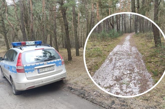 SZOK! 42-latek WYLAŁ SZAMBO DO LASU. Fekalia będzie musiał... POSPRZĄTAĆ