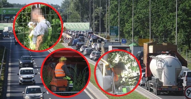Cyrk w Rembertowie. Kierowcy wściekają się w korkach, a robotnicy bimbają na budowie!