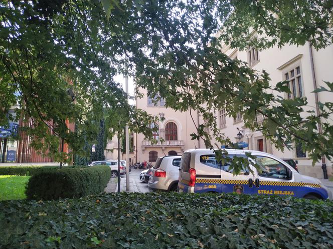 Dwie wizje zieleni przed krakowskim Magistratem. Gmina odrzuciła jedną i proponuje drugą