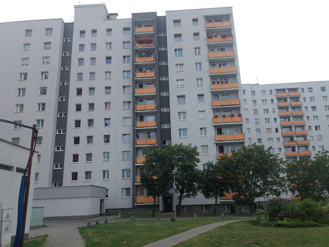 W bloku przy ul. Lisiej w Zielonej Górze doszło do rodzinnego dramatu