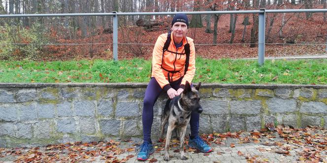 Niewidomy pies z hospicjum przebiegł półmaraton