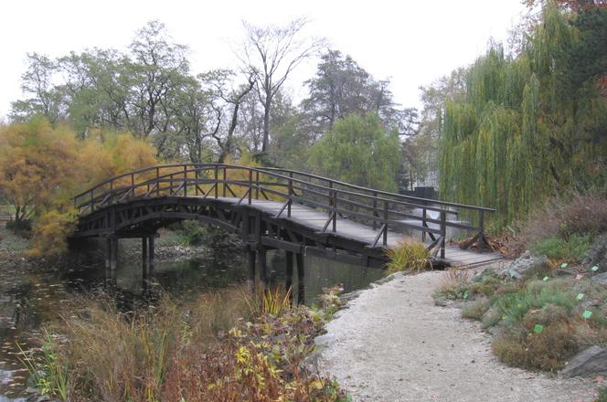 Ogród botaniczny we Wrocławiu otwiera się na niepełnosprawnych i rodziców z dziećmi
