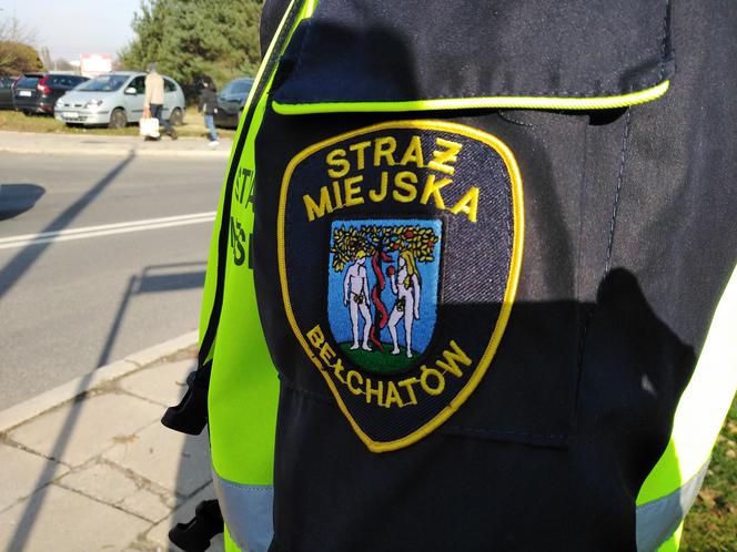 Jak pracuje Straż Miejska? Znamy statystyki za 2019! Niektóre liczby nie są optymistyczne
