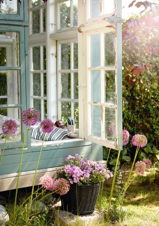 Pelargonie na 1001 sposobów 2