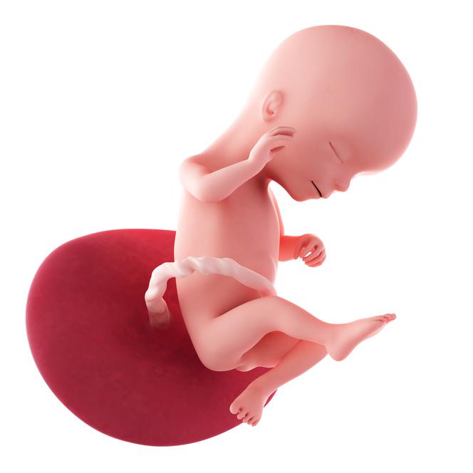 16 tydzień ciąży - dolegliwości ciążowe i wygląd dziecka