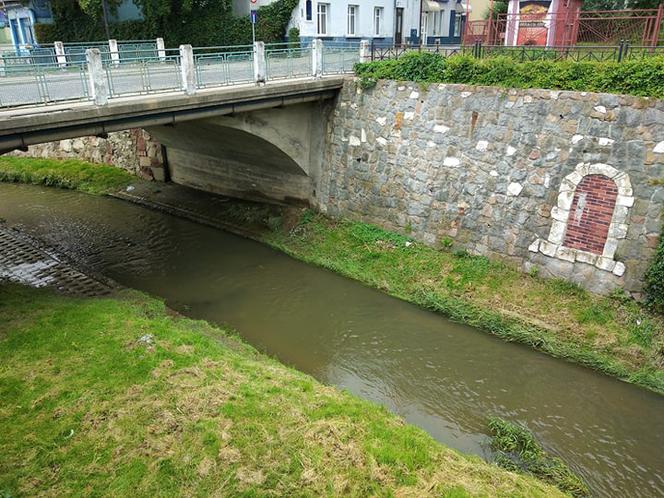 Tarnów. Zwłoki mężczyzny znalezione w Wątoku! Trwa ich identyfikacja