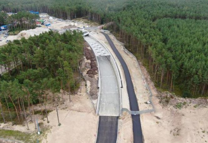 tunel pod świną