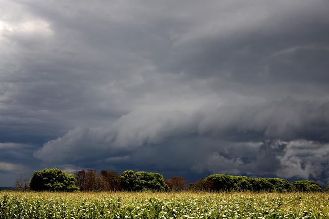 Pogoda na czwartek, 24 czerwca. Upały i burze nie odpuszczą. Prognoza 24.06.2021 r.