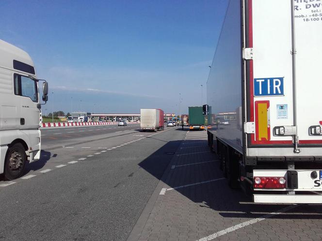 Podczas kontroli mówił, że „musi na stronę”. Nie było siku, była UCIECZKA. Kierowca TIRa był pijany!