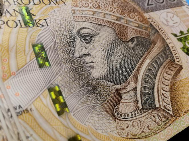 Złoty w listopadzie do dolara stracił ponad 4 proc.