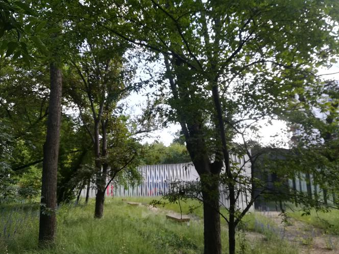 Centrum Lokalne pl Grunwaldzki
