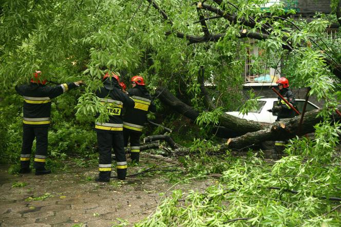 Burza, nawałnica, połamane drzewo, straż pożarna