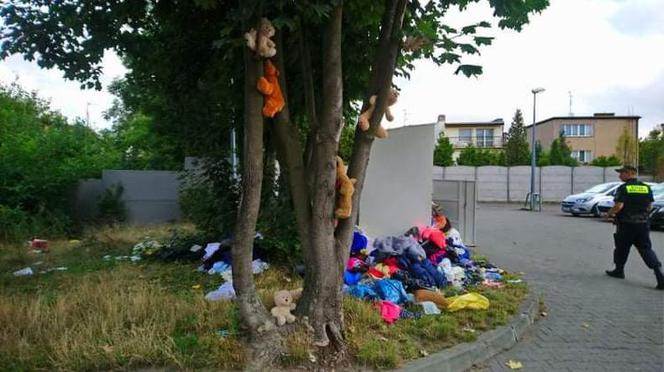 Poznań: Na drzewie wyrosły... misie! Interweniowali strażnicy