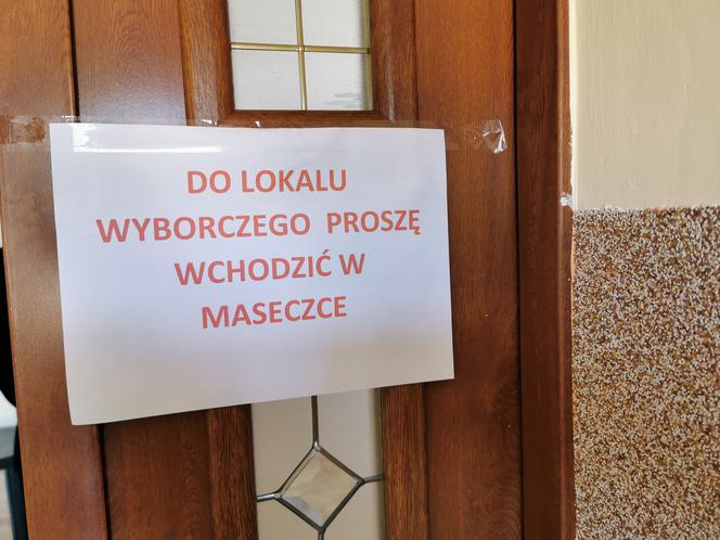 wybory