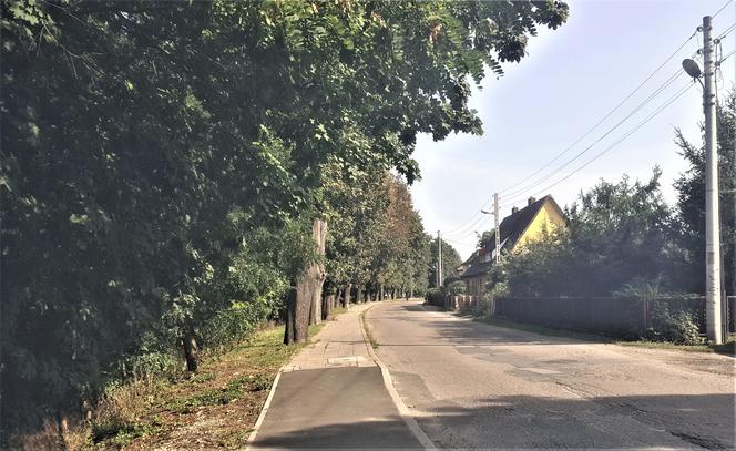 wysoka Piła
