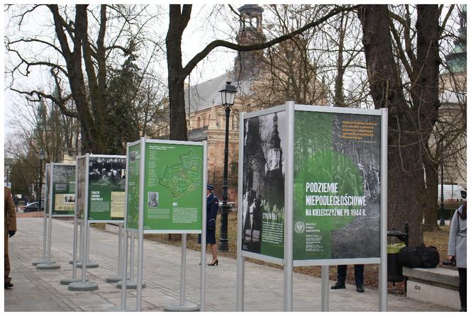Kim byli żołnierze wyklęci? MOCNE słowa radnego z Kielc.Akceptujemy hołubienie bandytom