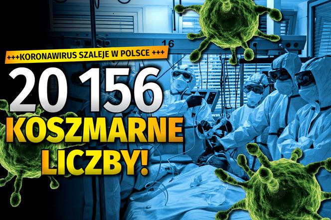 LICZBA DNIA 29 10