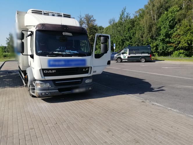 Karygodne zachowanie właściciela firmy transportowej. Krajowy transport wykonywał na cudzej karcie kierowcy