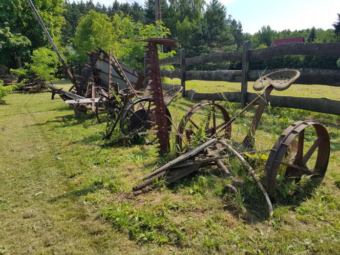 Eska Summer City Olsztyn - Muzeum Maszyn Rolniczych w Naterkach 21.07