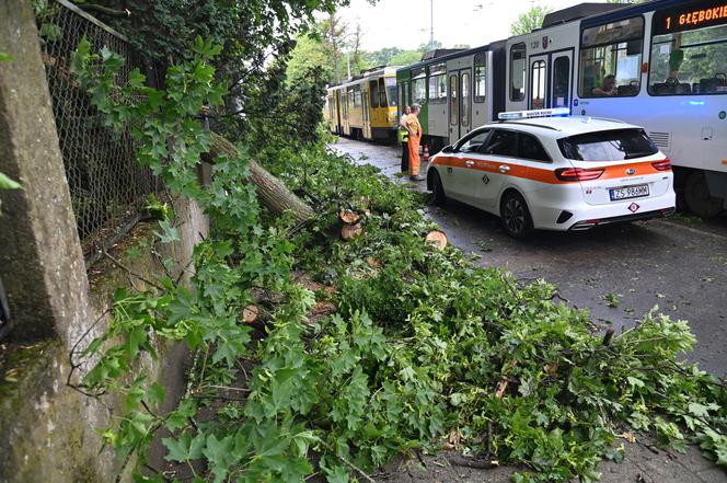 Szczecin: Zniszczenia po przejściu gwałtownej burzy